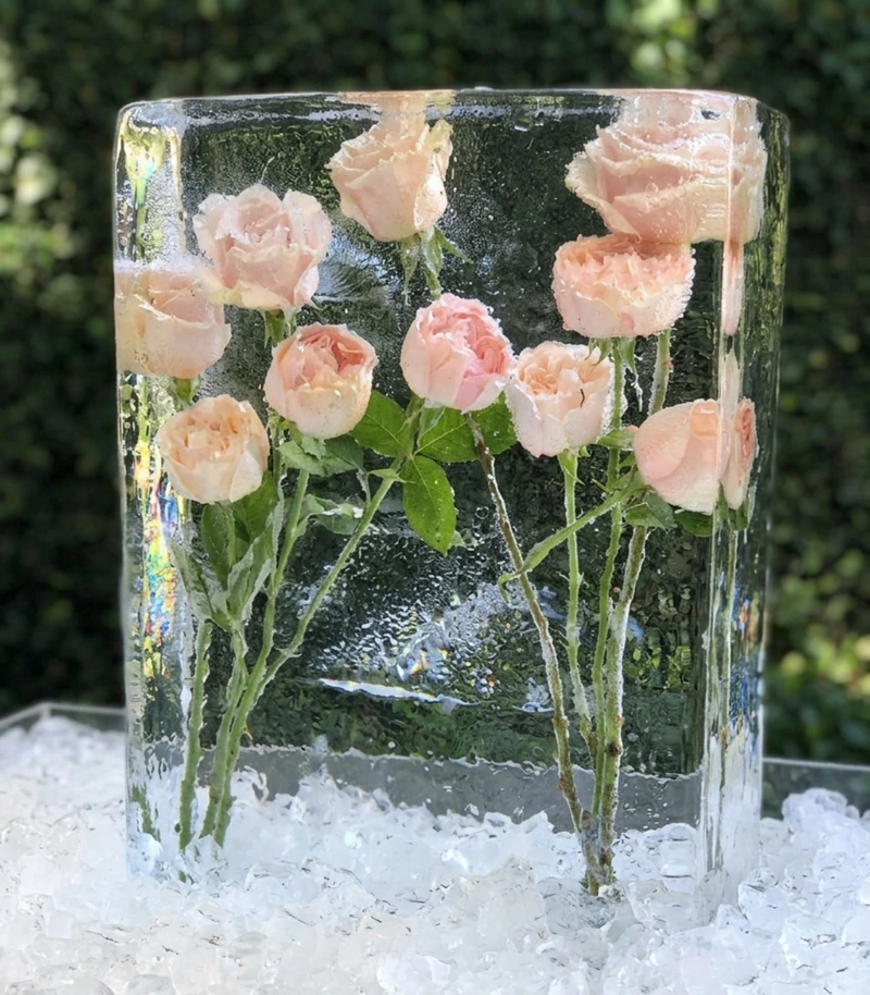 frozen-roses