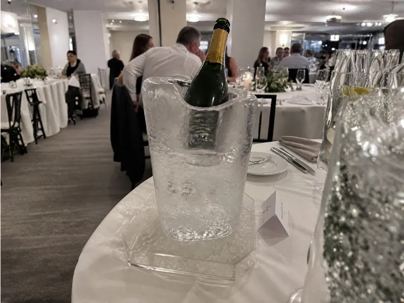 ice-vases-bottle-chillers